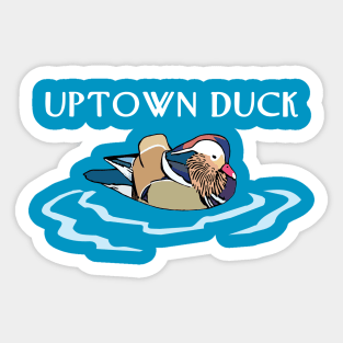 Mandarin duck Central Park Sticker